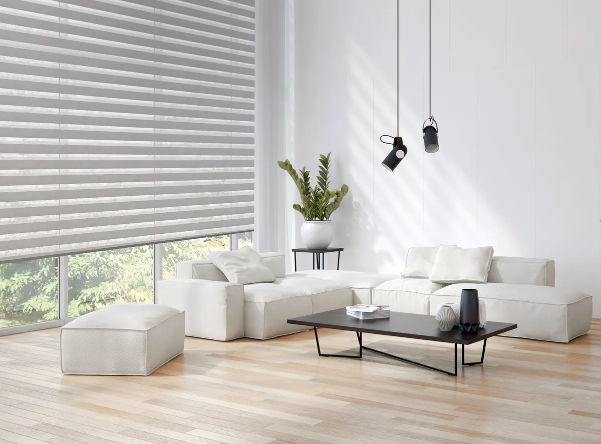 TWC Twinlight zebra shade in a living room